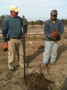 Vine Planting RL Supervision
