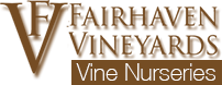 Fairhaven Vineyards Vine Nursery Logo